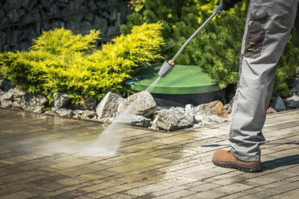 Best Winterizing Services  in Seward, AK