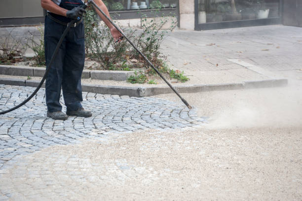 Best Fence Cleaning  in Seward, AK